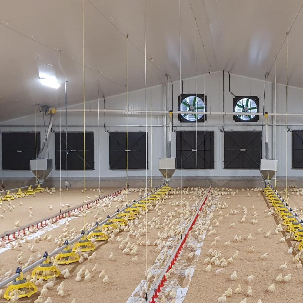 Poultry ventilation - header.jpg