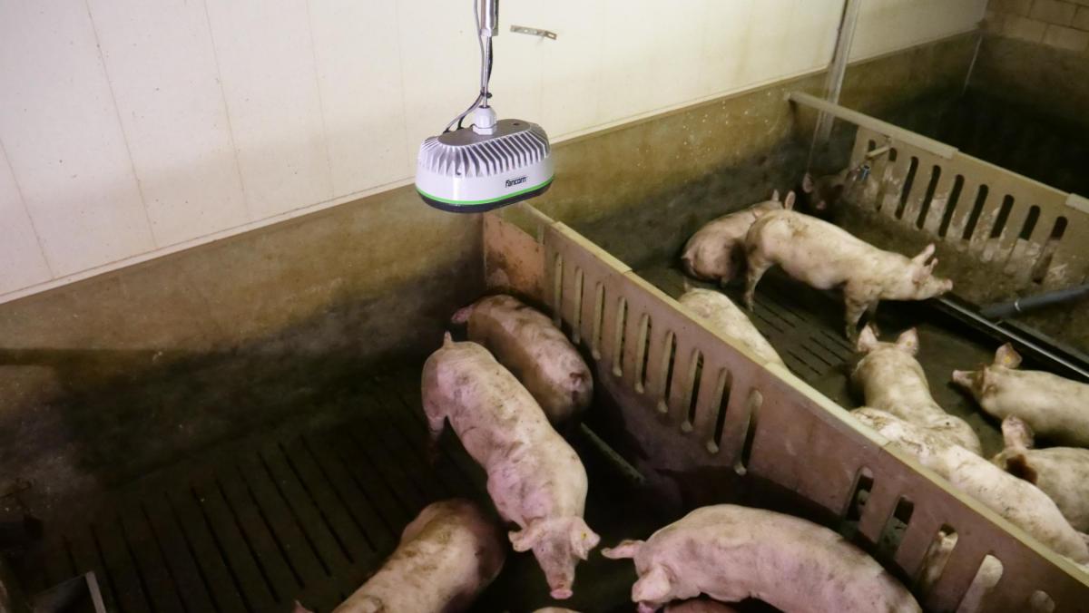 Modern technologies in farm automation