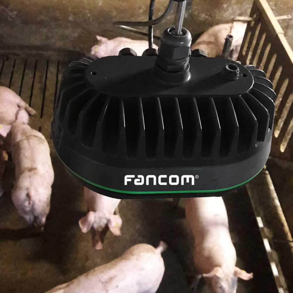 Automatic weighing-Fancom eYegrow top view.png