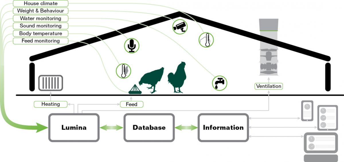 stall-of-the-future_poultry_GB_v2.jpg