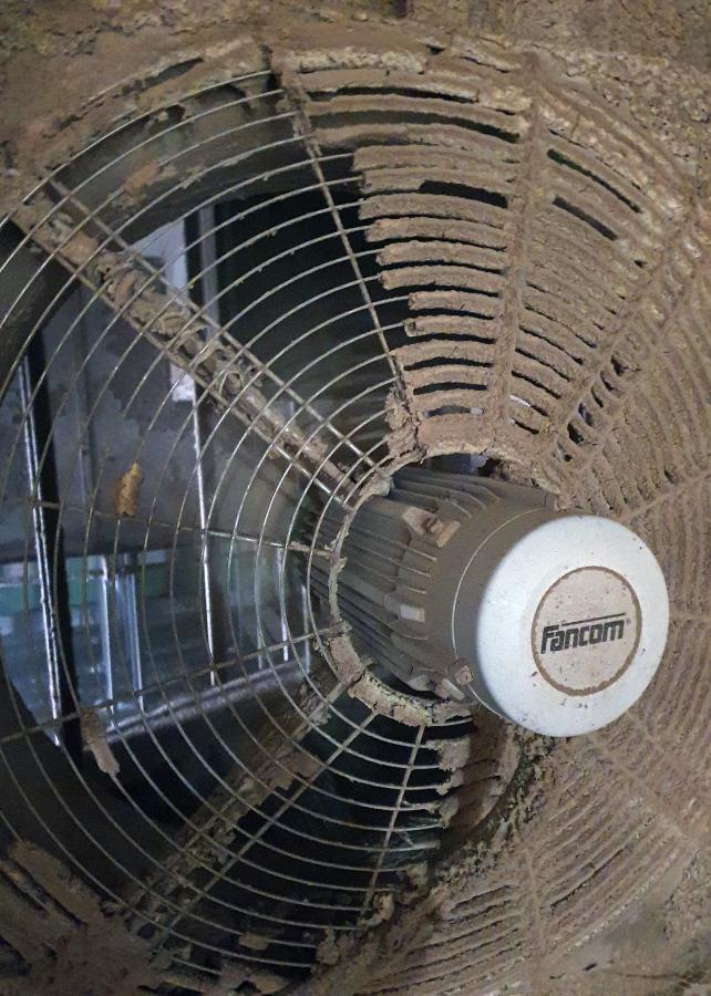 Praktische tips om hittestress te voorkomen