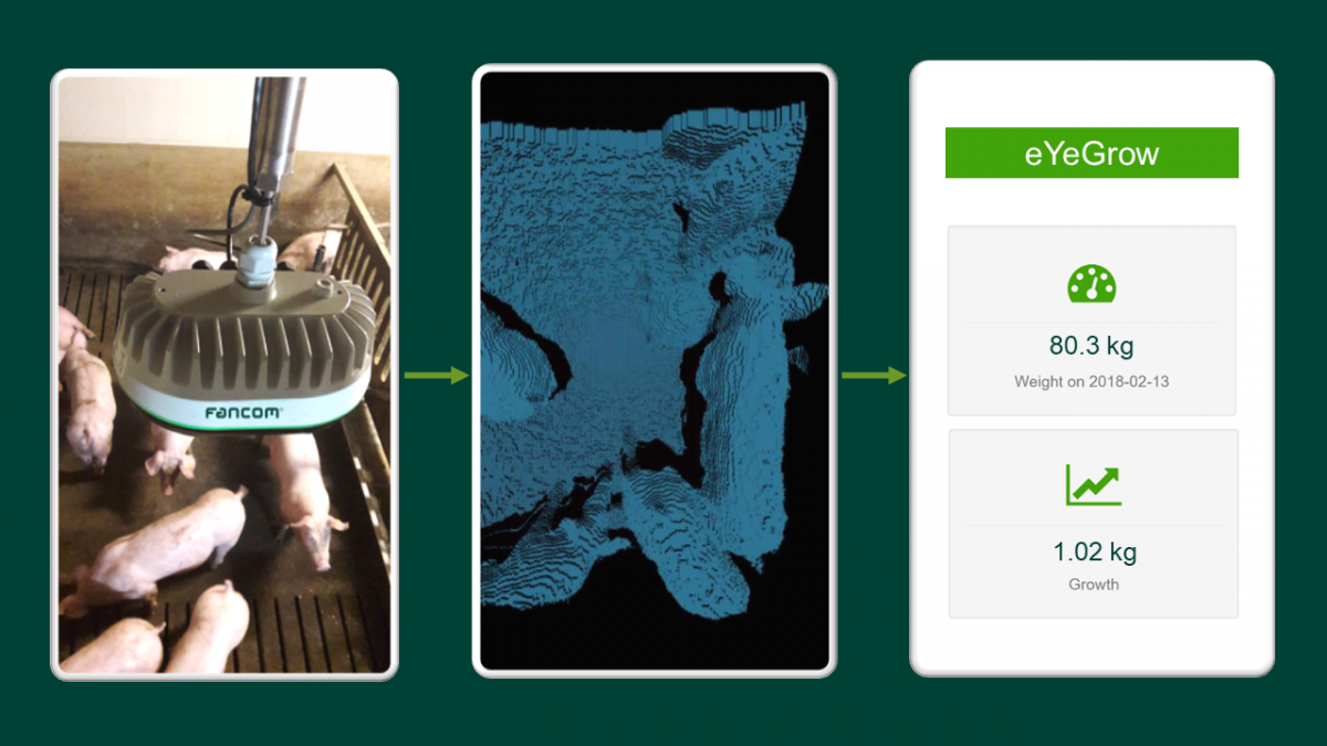 Automatic weighing-eYeGrow how it works.png