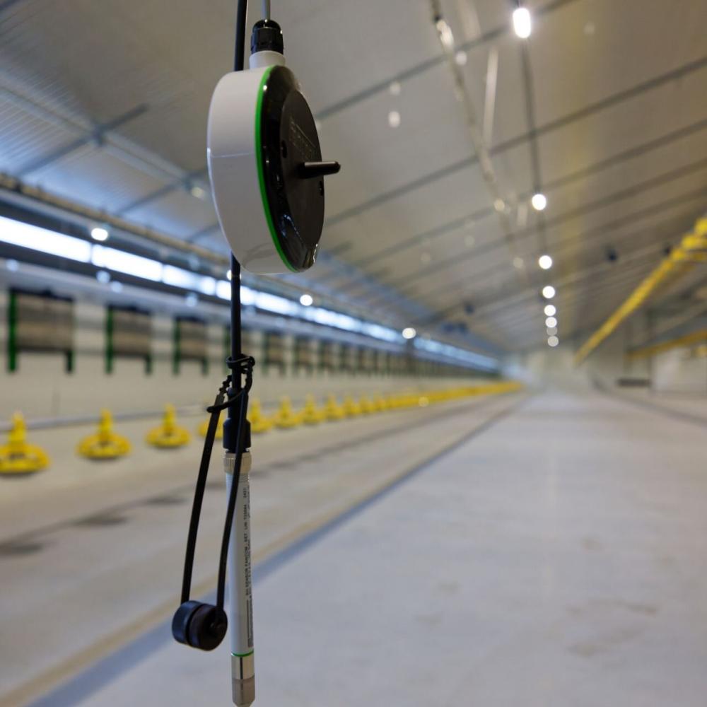 Climate sensors in a poultry house