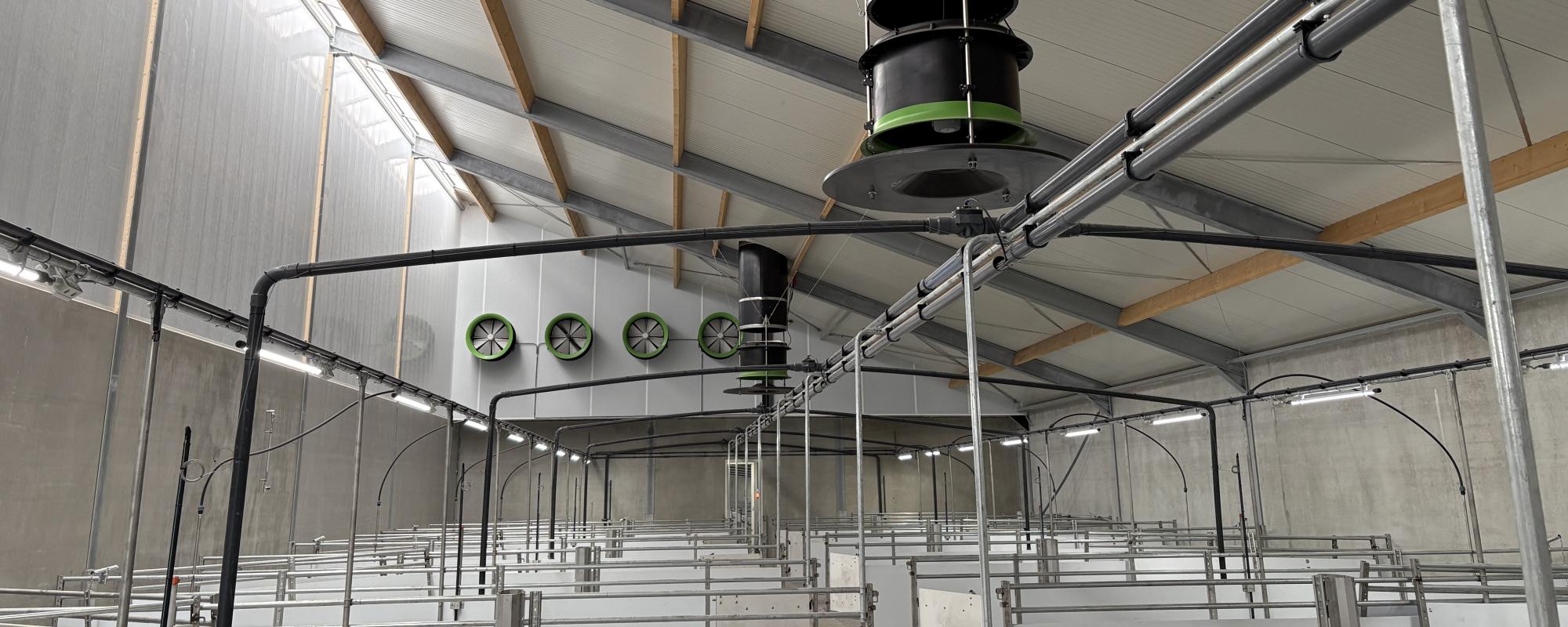 Equal pressure ventilation also ideal for pig houses