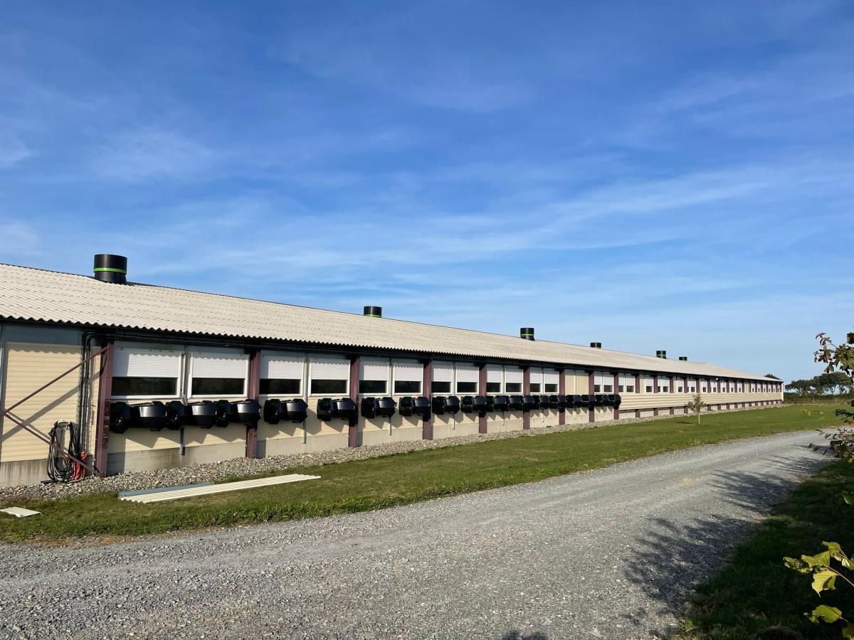 Sustainability and eco-friendly practices