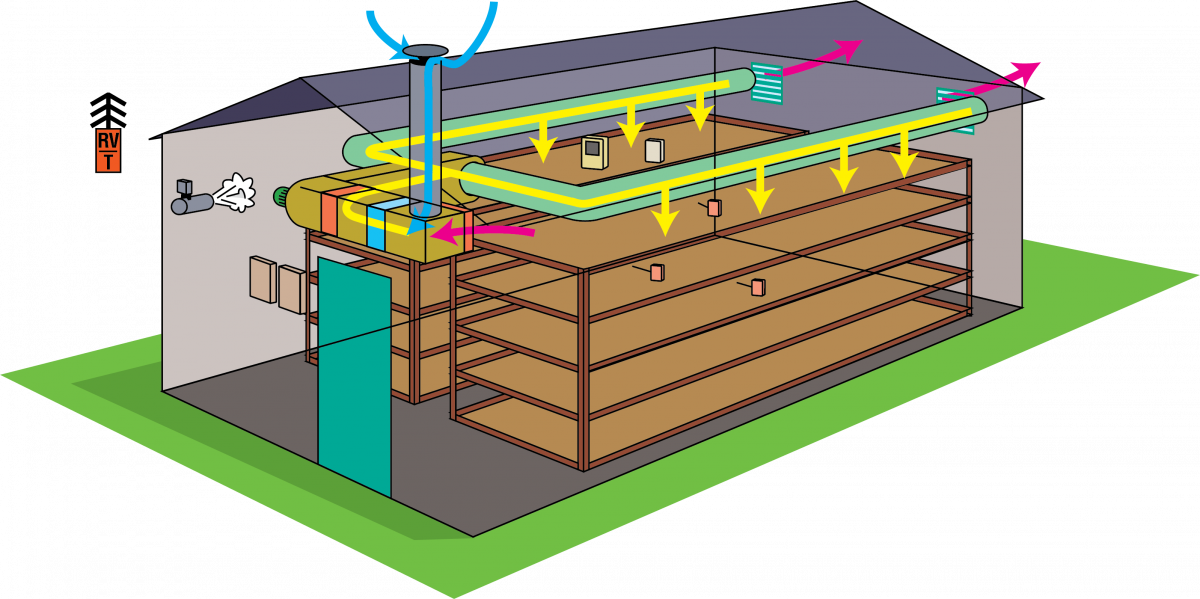 3D_schema champignoncel_notext (1).png