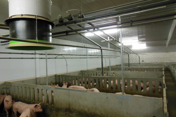 Maintain a stable temperature in the pig house