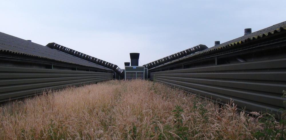 Heat exchanger outside