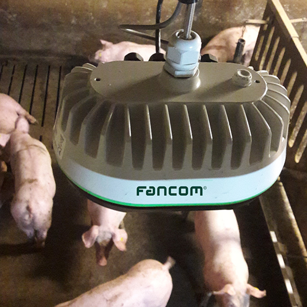 Automatic weighing-Fancom eYegrow top view.png