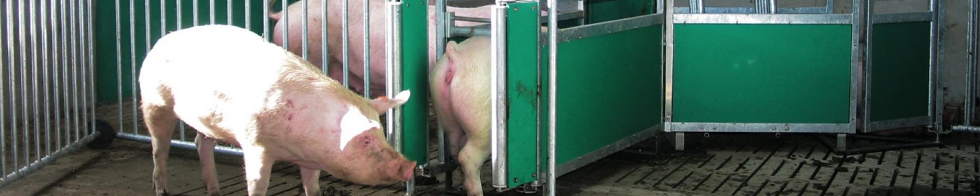 Fancom Multiphase feeding with the Lumina 71 or 78