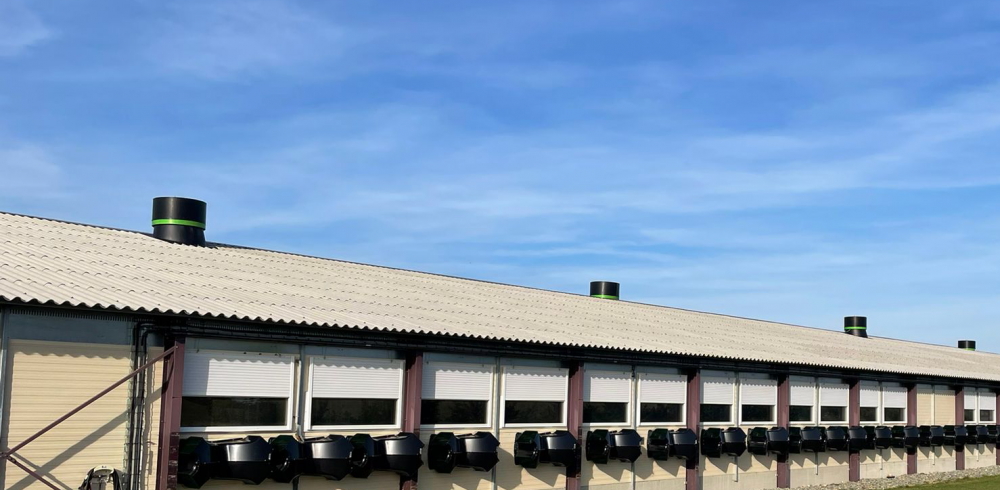 Fantura wind hood improves animal performance