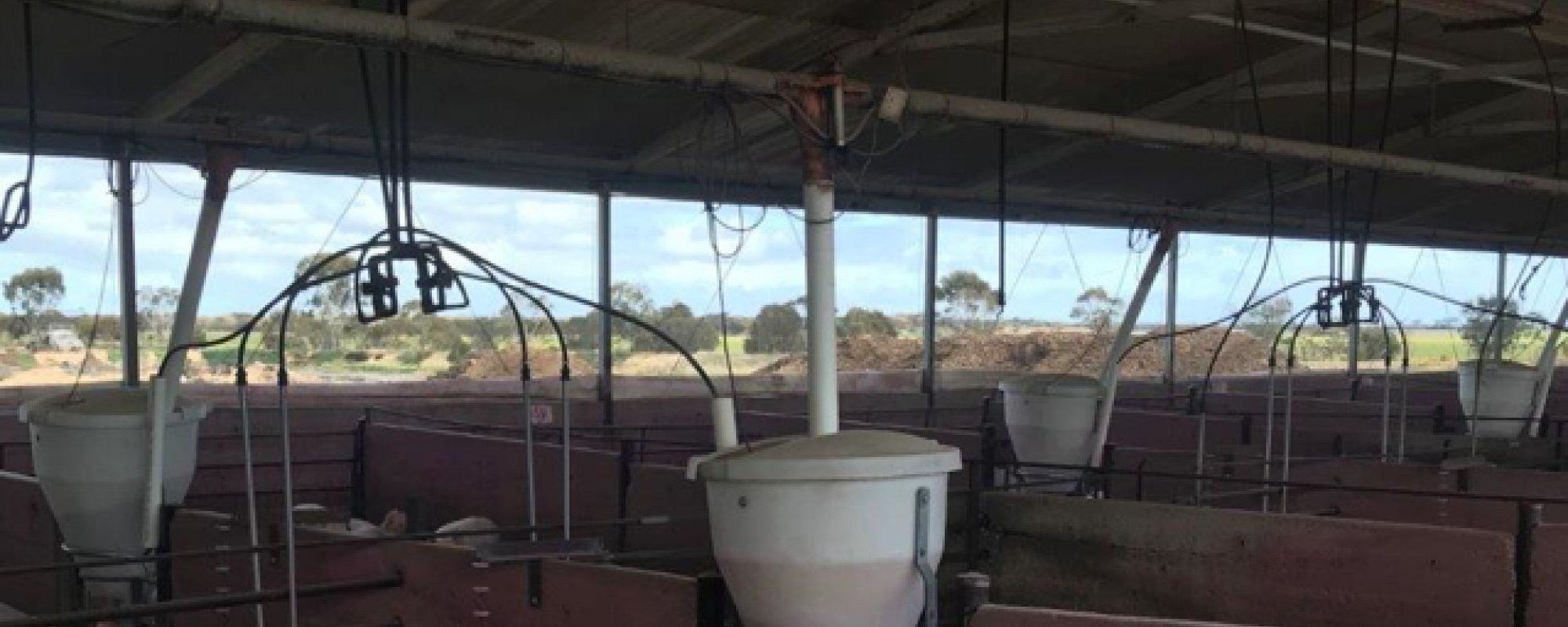 Farms in Australia are now using Fancom's eYeGrow