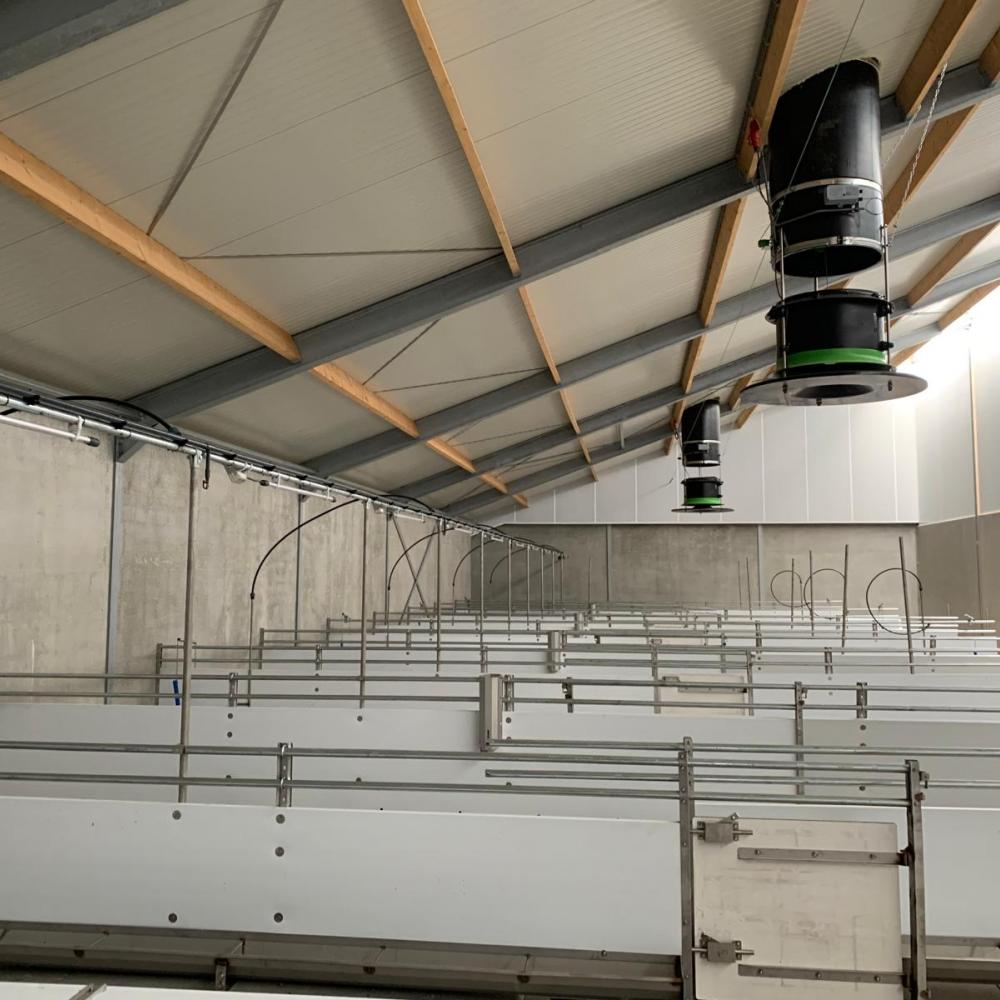 Gelijkdruk varkens 02.jpg